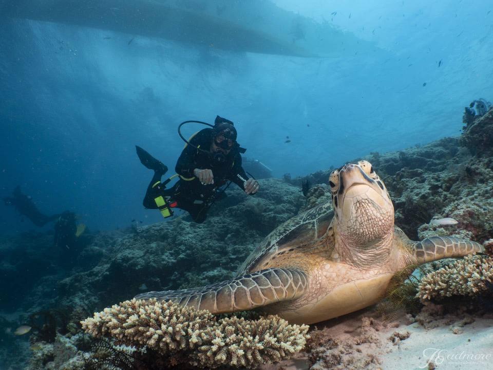 Diving